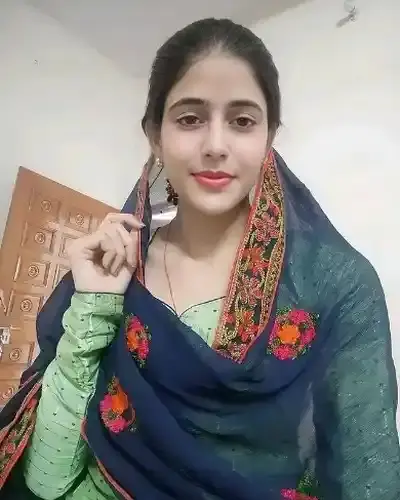 Call Girls Service Hisar
